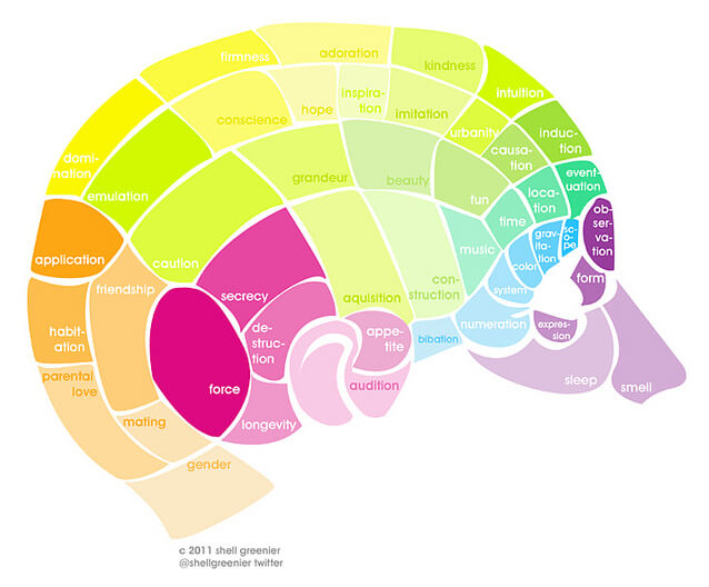 Image of parts of a brain. NB. This diagram is for illustrative purposes only.